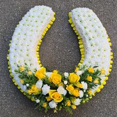 Horse shoe 