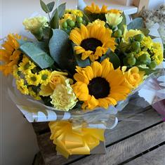 Sunflowers in summer 