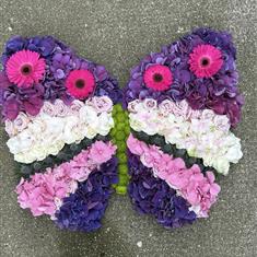 Butterfly tribute 