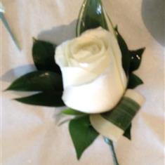 Rose button hole 