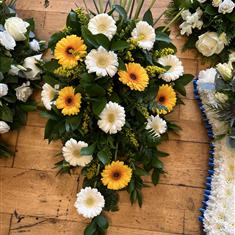 Germini sheaf 
