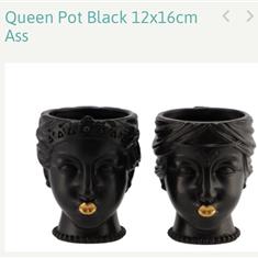 Black Queen Anne pot 