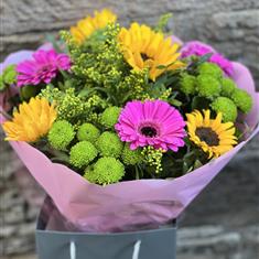 Sunflower surprise 