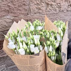 White Lisianthus - 5 Stems 