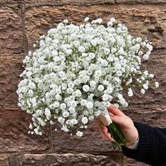 Babys breathe bouquet 