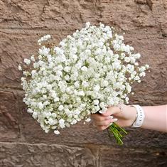The grace bridesmaids bouquet 