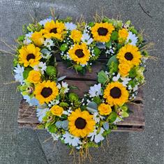 Sunshine heart tribute 