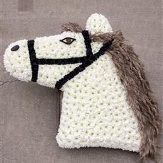 White horse head 