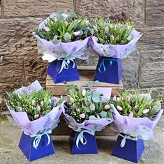 Spring is in the air 