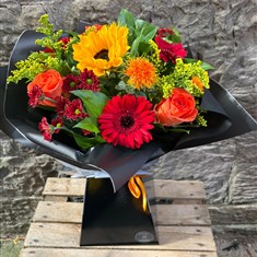 Autumn ember 