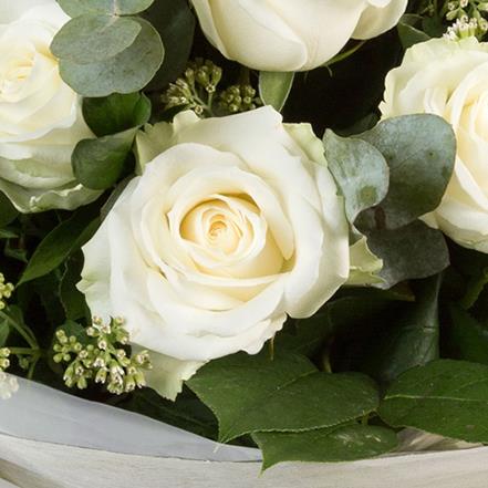Dozen Long Stemmed White Roses Nikkis Fleurs Florist Edinburgh