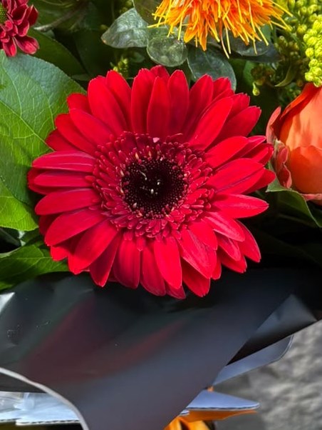 Flowers Complementary Autumn ember